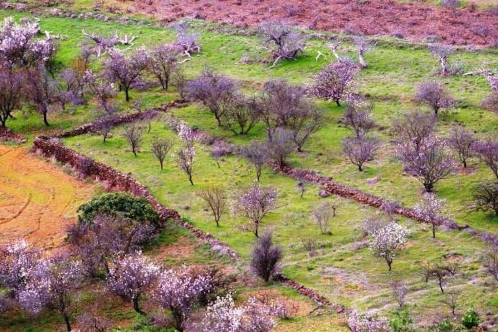 Casa Poesia De El Hierro, Situada En El Centro De El Pinar Villa El Pinar  ภายนอก รูปภาพ