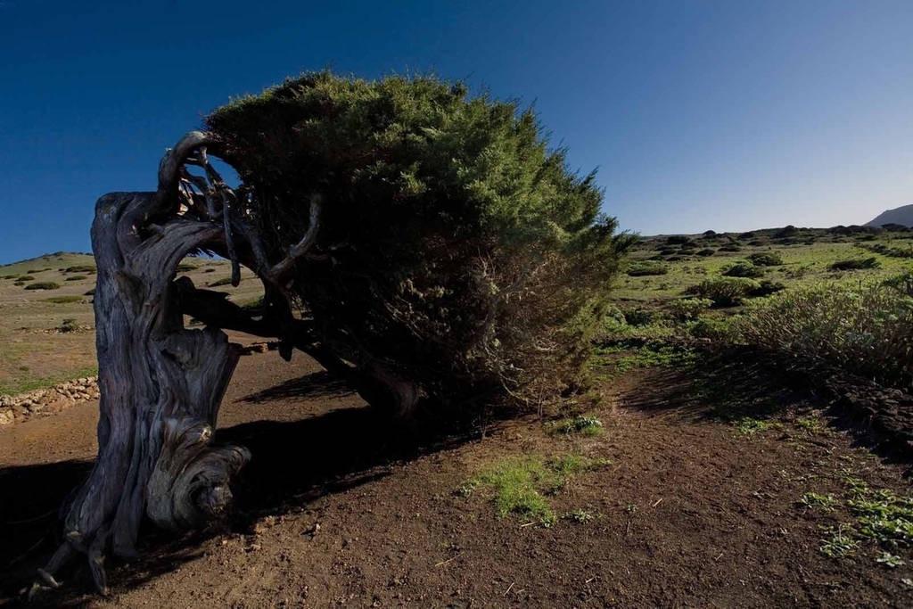 Casa Poesia De El Hierro, Situada En El Centro De El Pinar Villa El Pinar  ภายนอก รูปภาพ